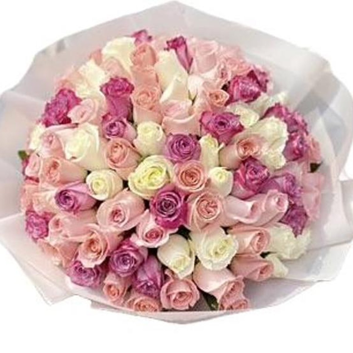 Four dozen pastel roses, hand-built by Bianca Mendoza